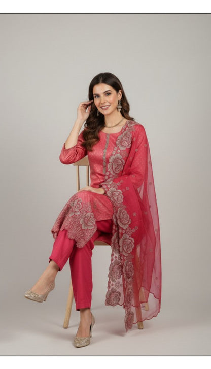 Blushing Elegance Embroidered Salwar Suit Set